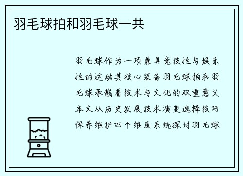 羽毛球拍和羽毛球一共