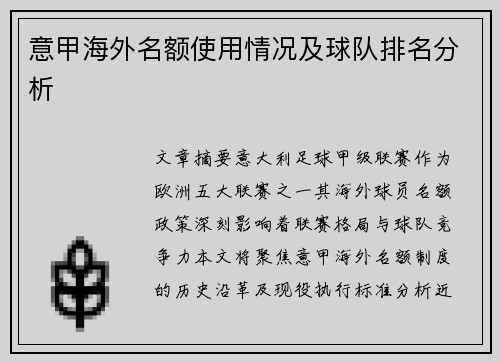 意甲海外名额使用情况及球队排名分析