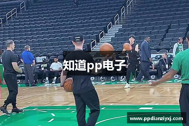 知道pp电子